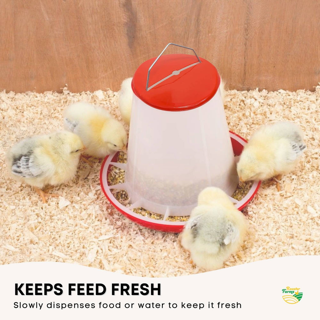 3Kg Automatic Chicken Feeder - Plastic Poultry Chook Hen Feeding Seed Bucket
