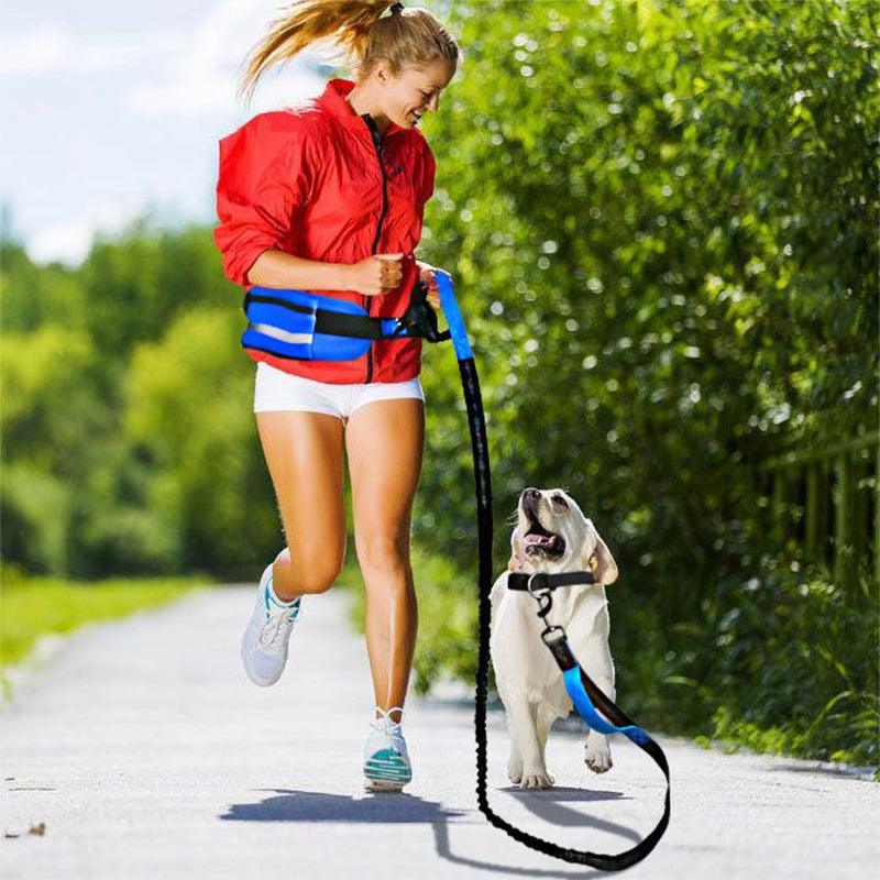 Hands Free Dog Leash Adjustable Lead with Waist Belt Bag for Walking Jogging Running - Black+Grey
