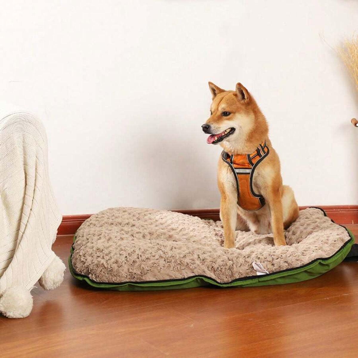 Portable Folding Pet Kennel Zippered Outdoor Dog Bed Travel Mat Waterproof - Blue Orange