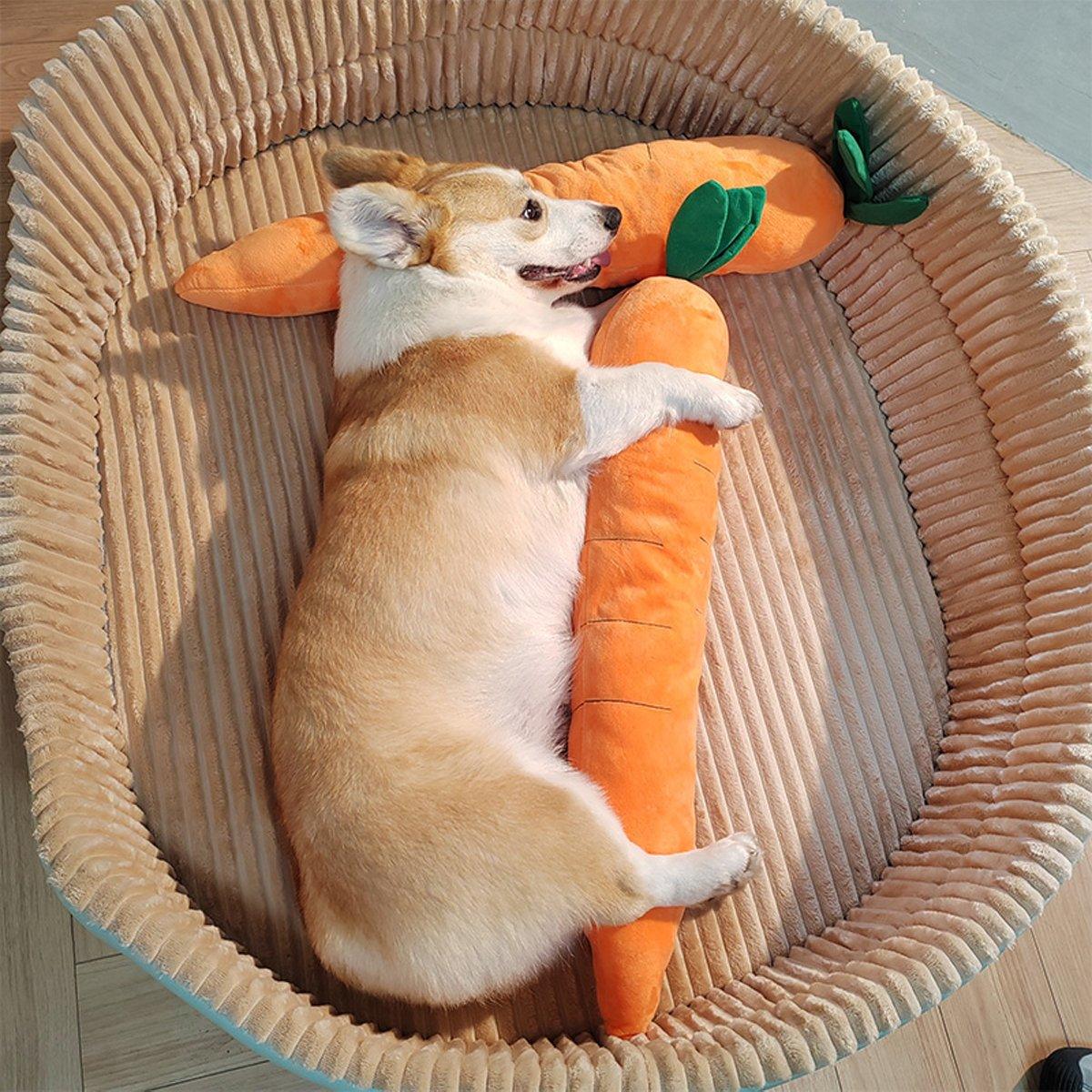 Plush Radish Toy for Pets Bite Doll Fruit Vegetable Cute Pillow Pets Education