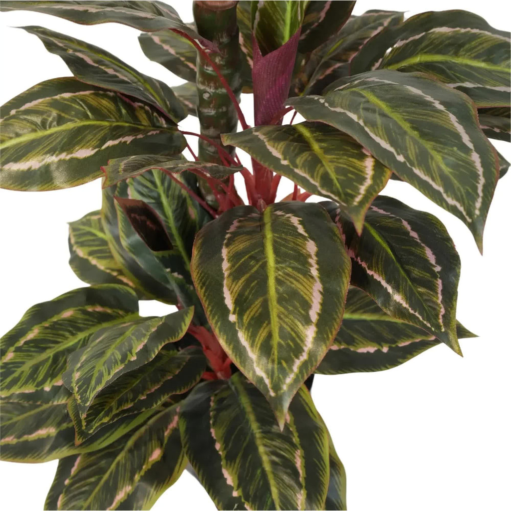 Artificial Wide Leaf Cordyline Plant 90cm