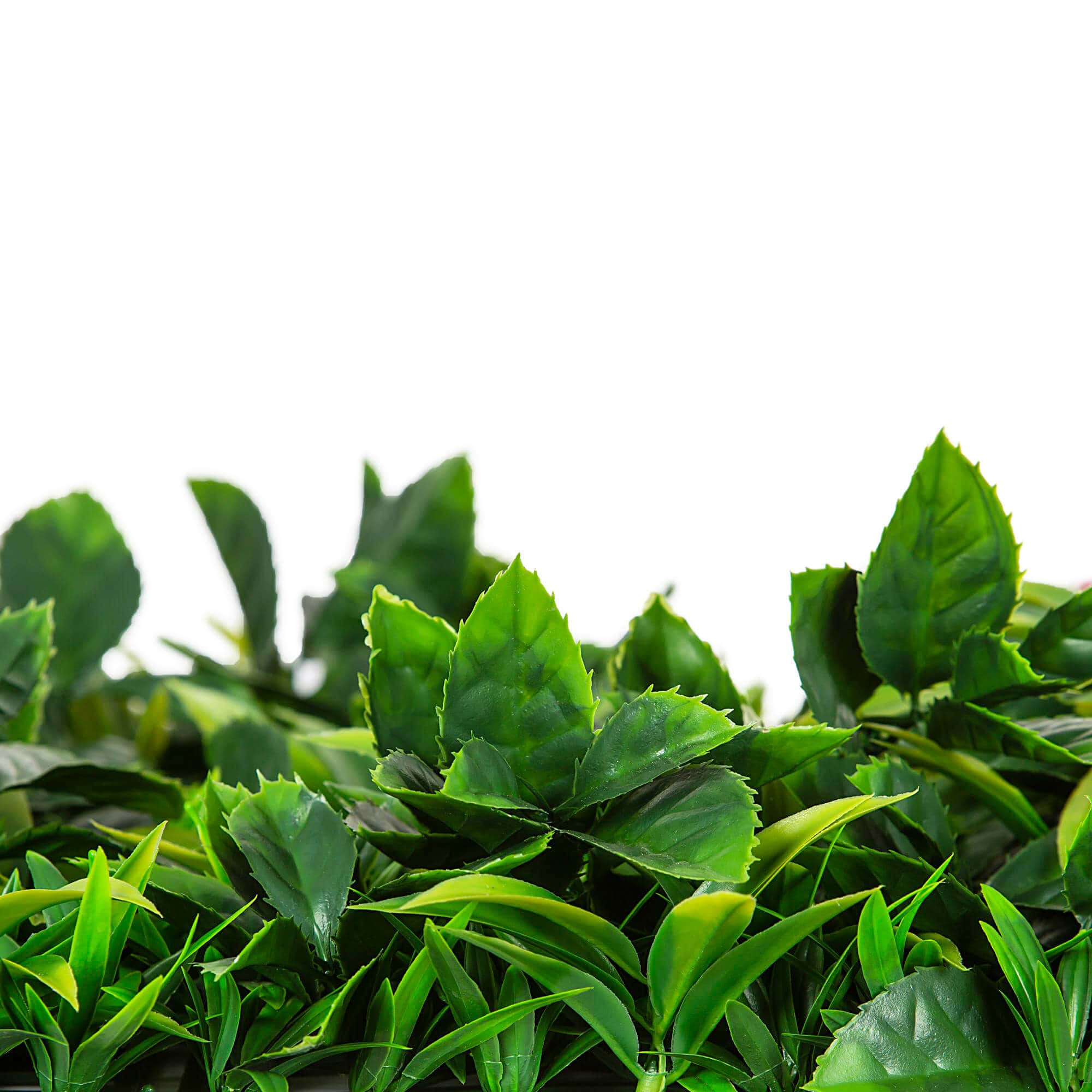 Yellow Rose Vertical Garden / Green Wall UV Resistant Sample