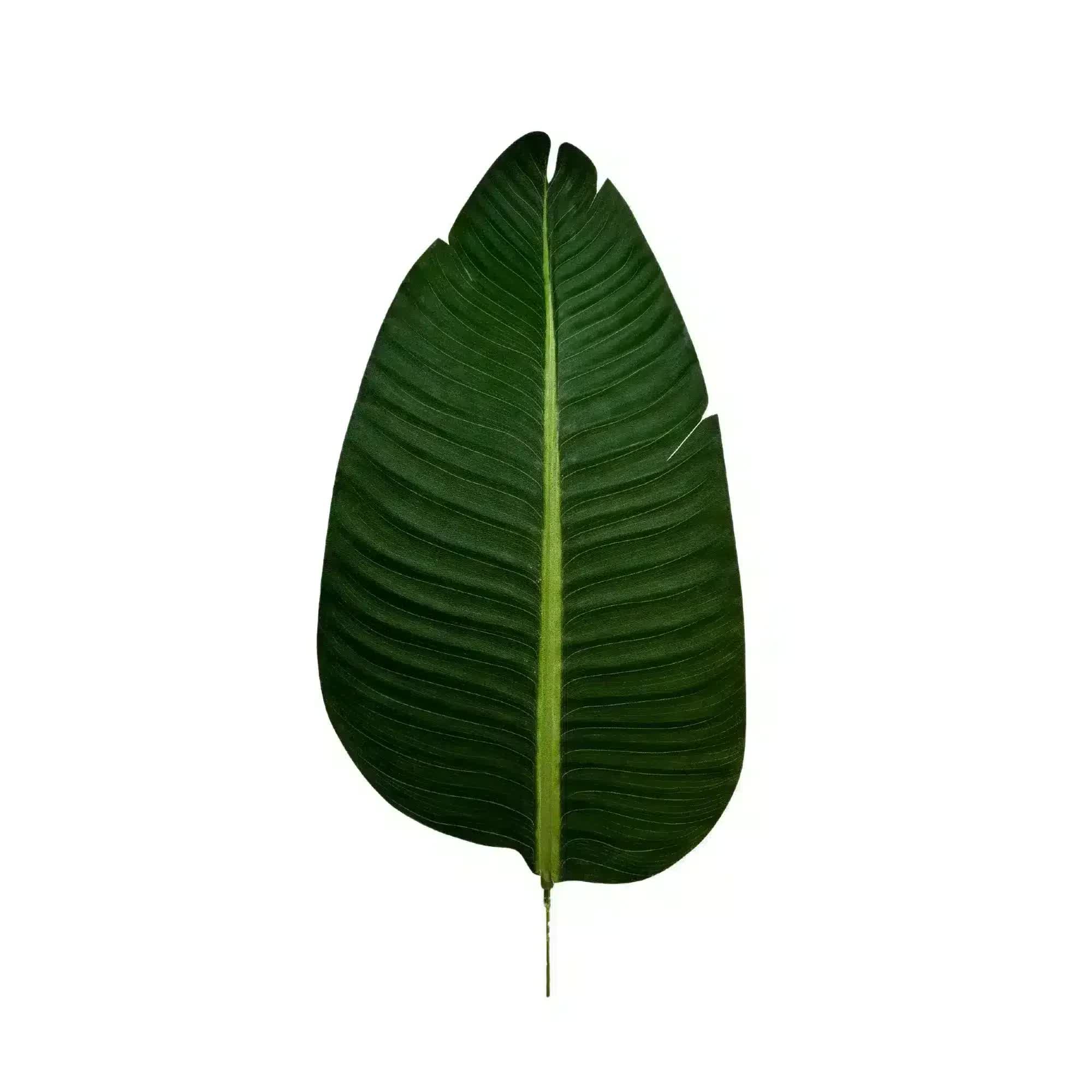 Grand Artificial Potted Travellers Palm (Banana Palm Tree) 180cm
