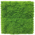 Fresh Natural Green Artificial Moss / Green Wall UV Resistant Sample