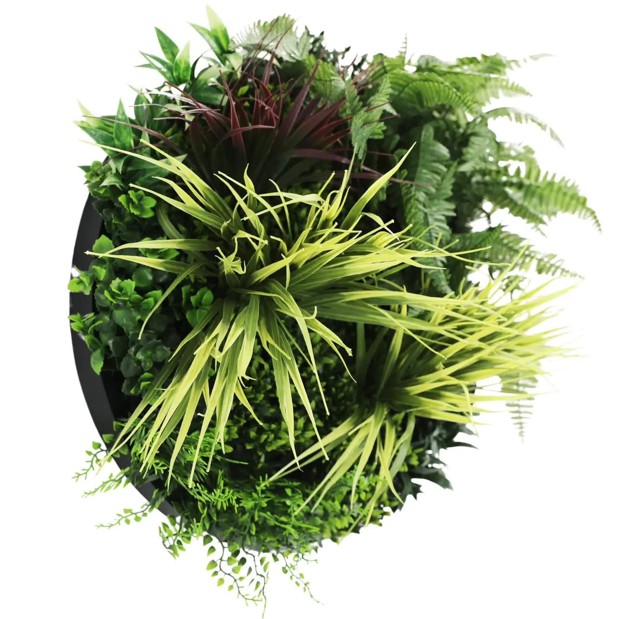 Slimline Artificial Green Wall Disc Art 50cm Grassy Fern Fields UV Resistant (Black)